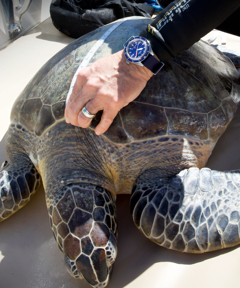 Certina DS Super PH500M Produktbild main 3