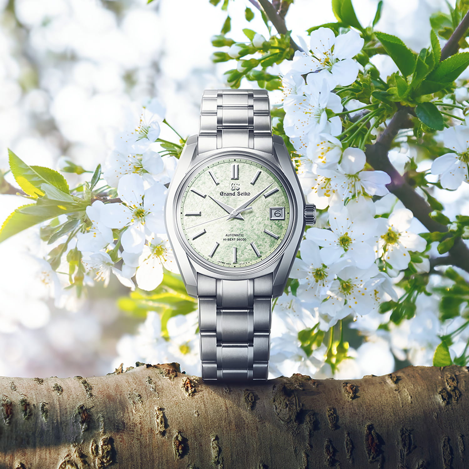 Grand Seiko Heritage Hi-Beat Sakura-Wakaba Produktbild main 1