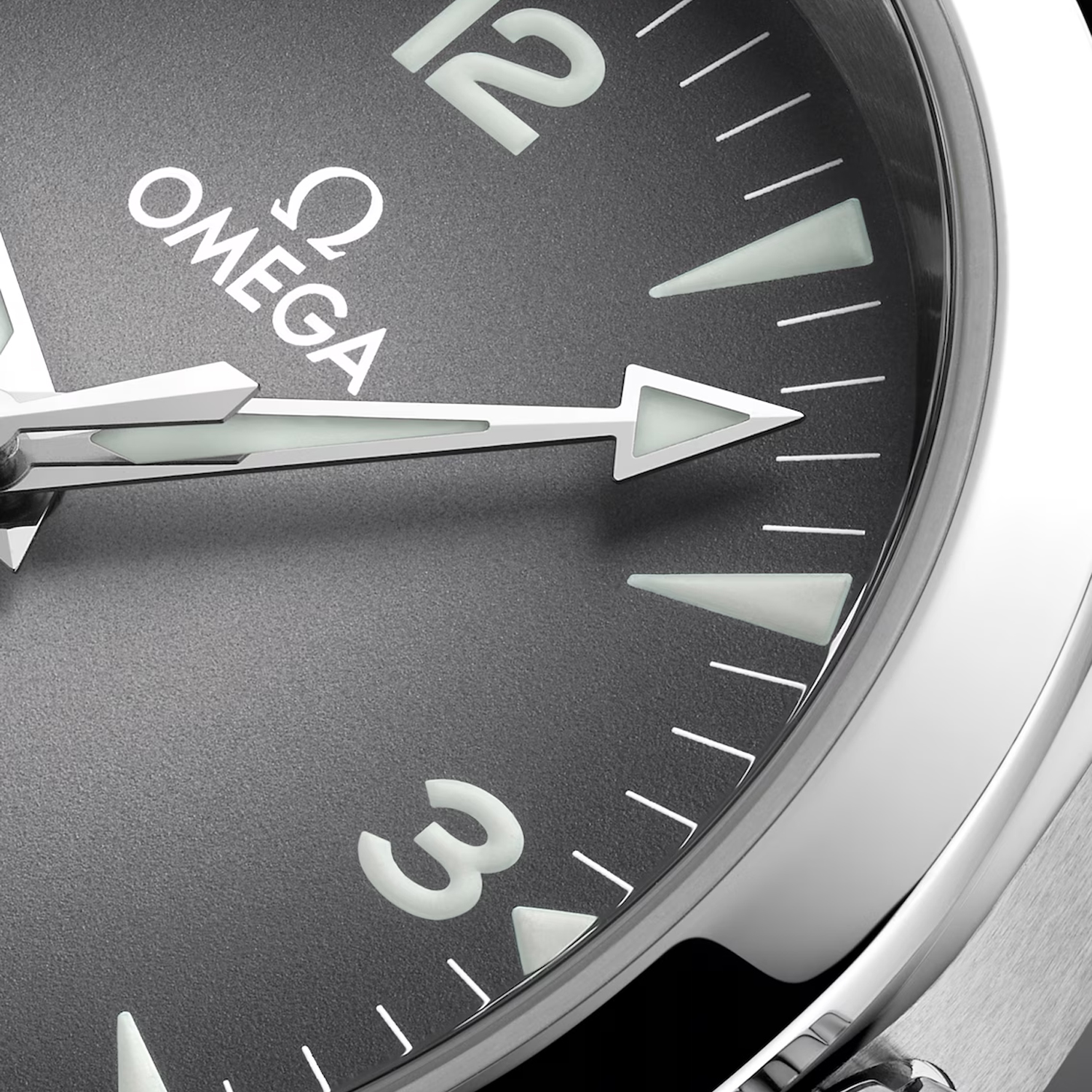 OMEGA Seamaster Railmaster 38 Produktbild main 2