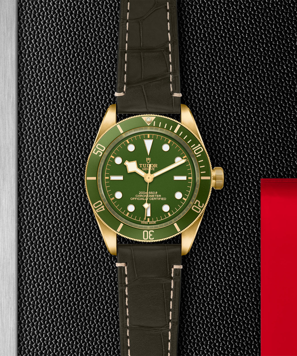 TUDOR Black Bay 58 18K Produktbild main 5