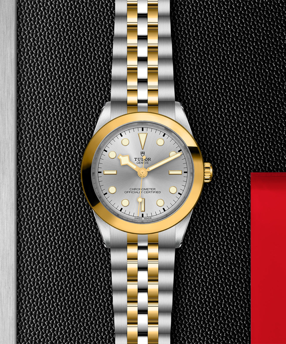 TUDOR Black Bay 39 S&G Produktbild main 2