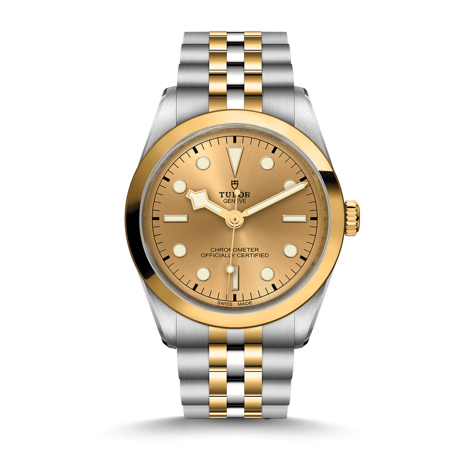 TUDOR Black Bay 36 S&G