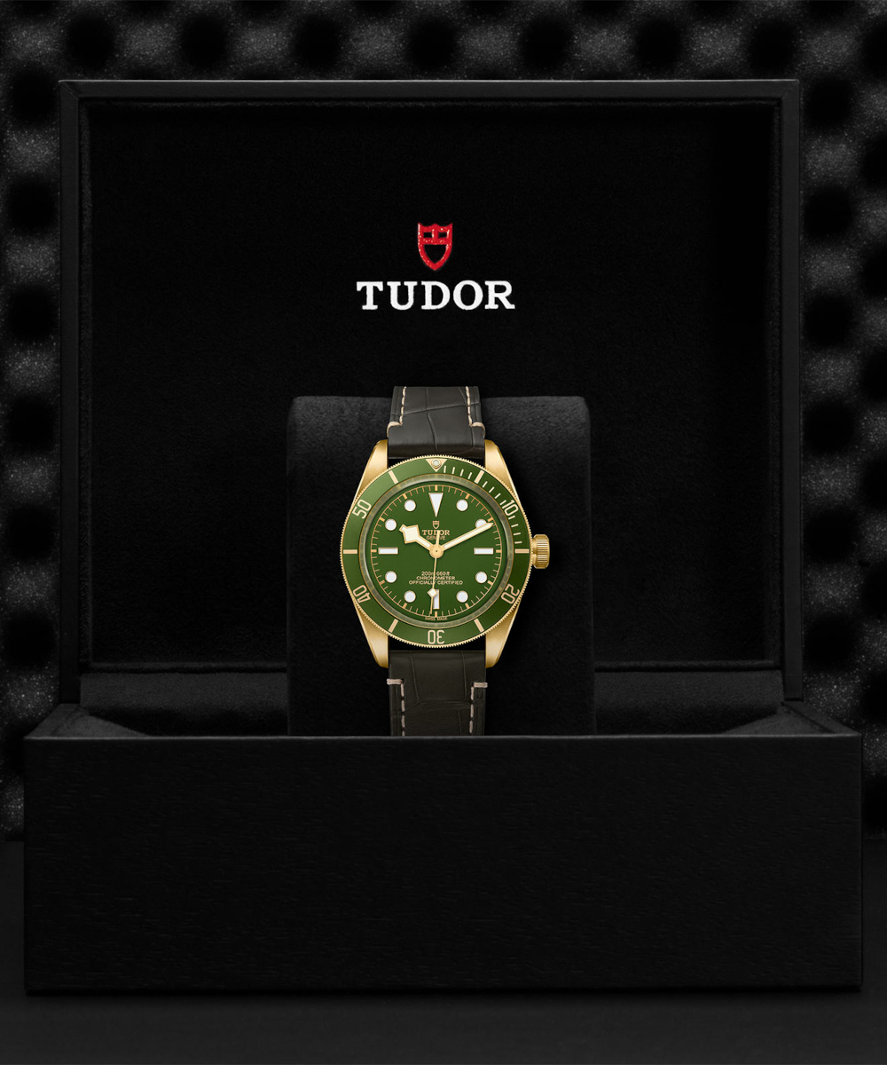 TUDOR Black Bay 58 18K Produktbild main 6