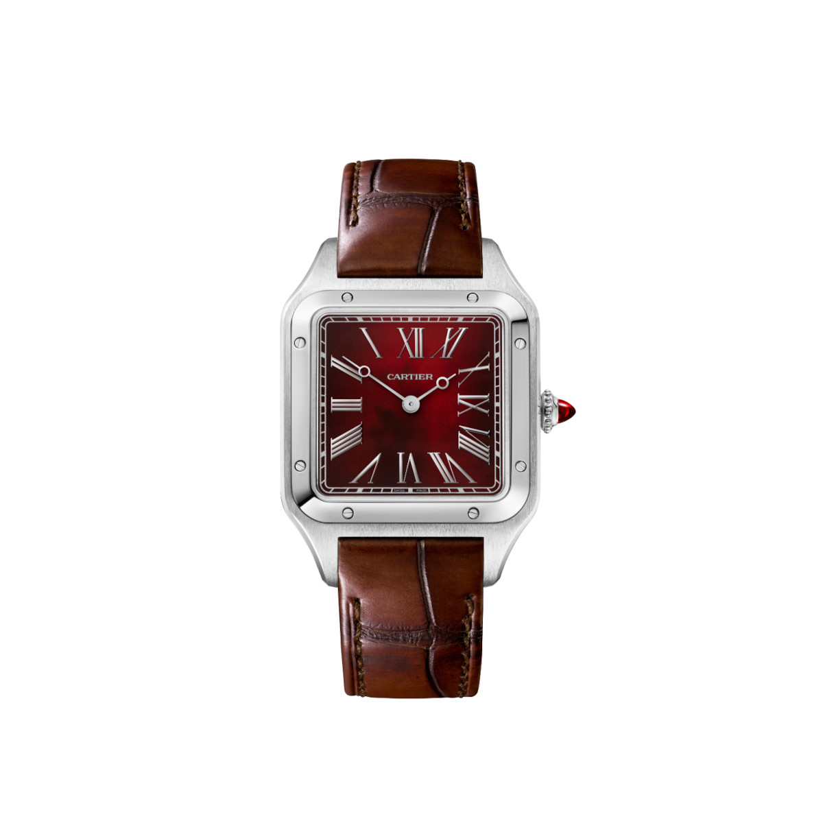 Cartier Santos-Dumont Rewind